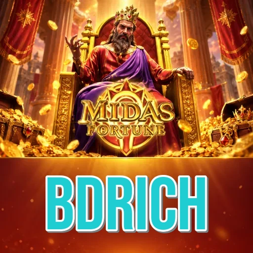 bdrich login help page preview for Bangladesh